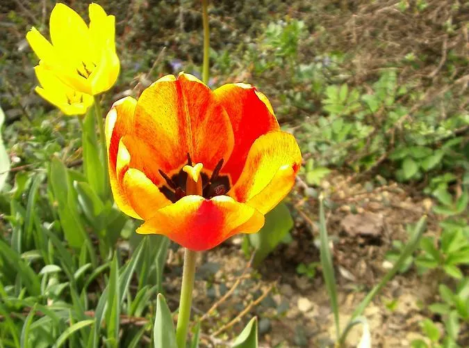 Sommerhaus Am Internats-campus 호텔 2*